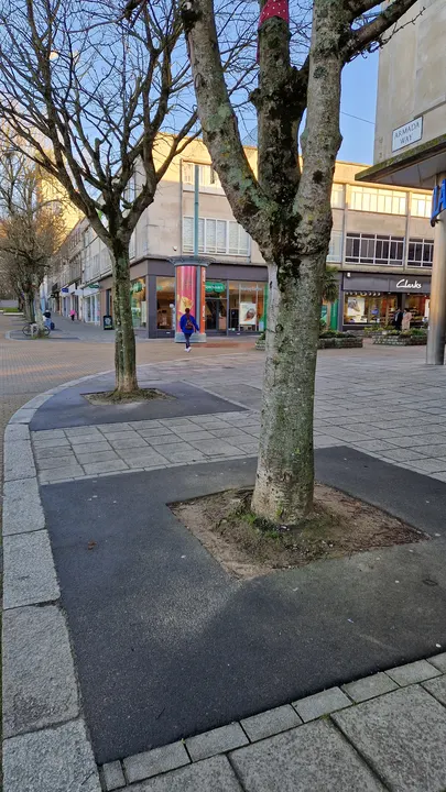 Trip hazard photograph 26